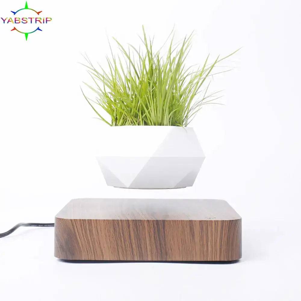 Potted Plant Home Desk Decor Dekoré