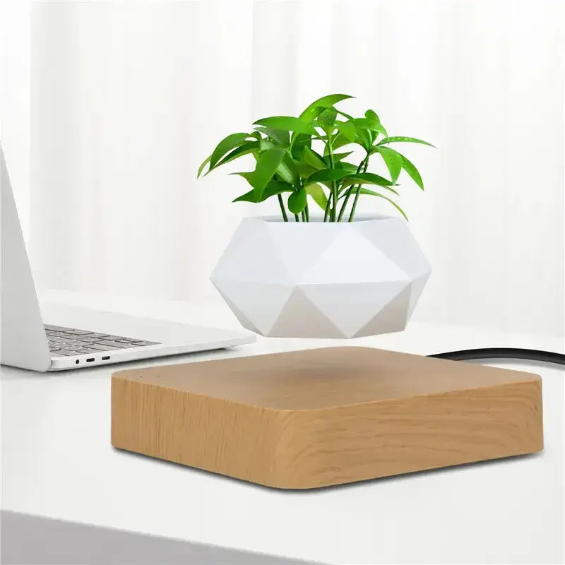 Potted Plant Home Desk Decor Dekoré