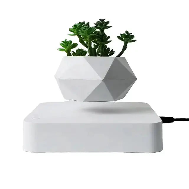 Potted Plant Home Desk Decor Dekoré