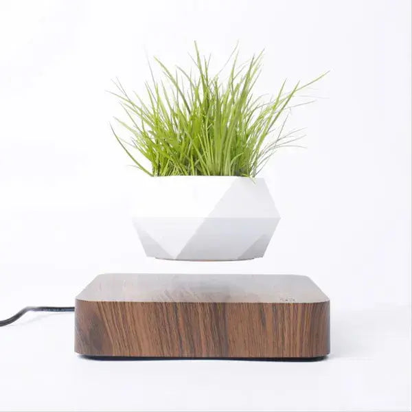 Potted Plant Home Desk Decor Dekoré