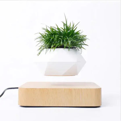 Potted Plant Home Desk Decor Dekoré